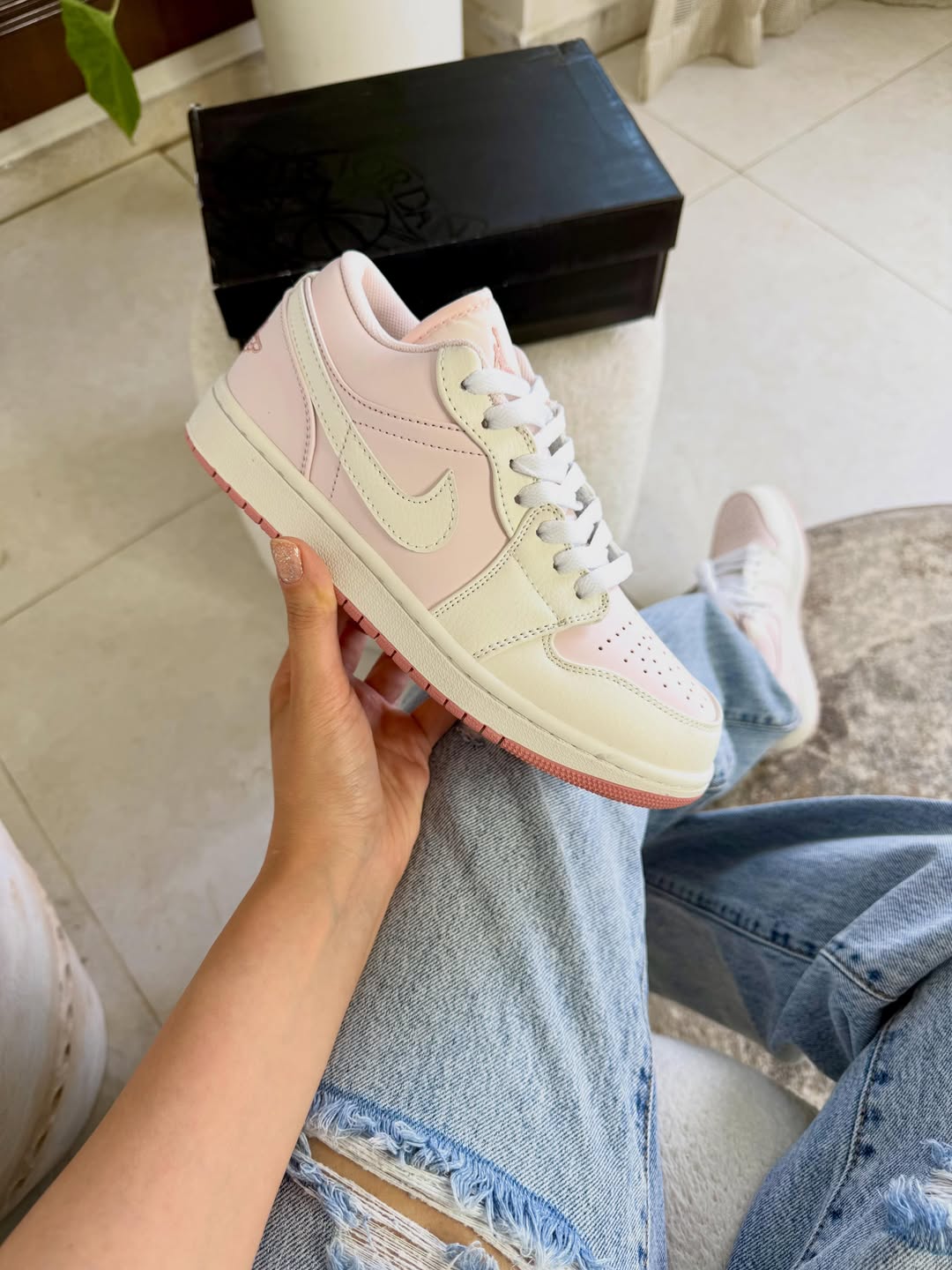Nike Jordan Low